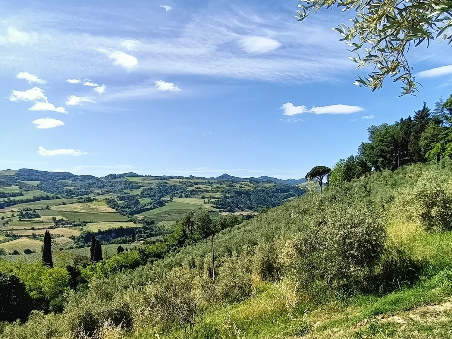 il territorio di Casola Valsenio