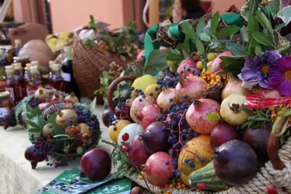 festa dei frutti dimenticati di casola valsenio