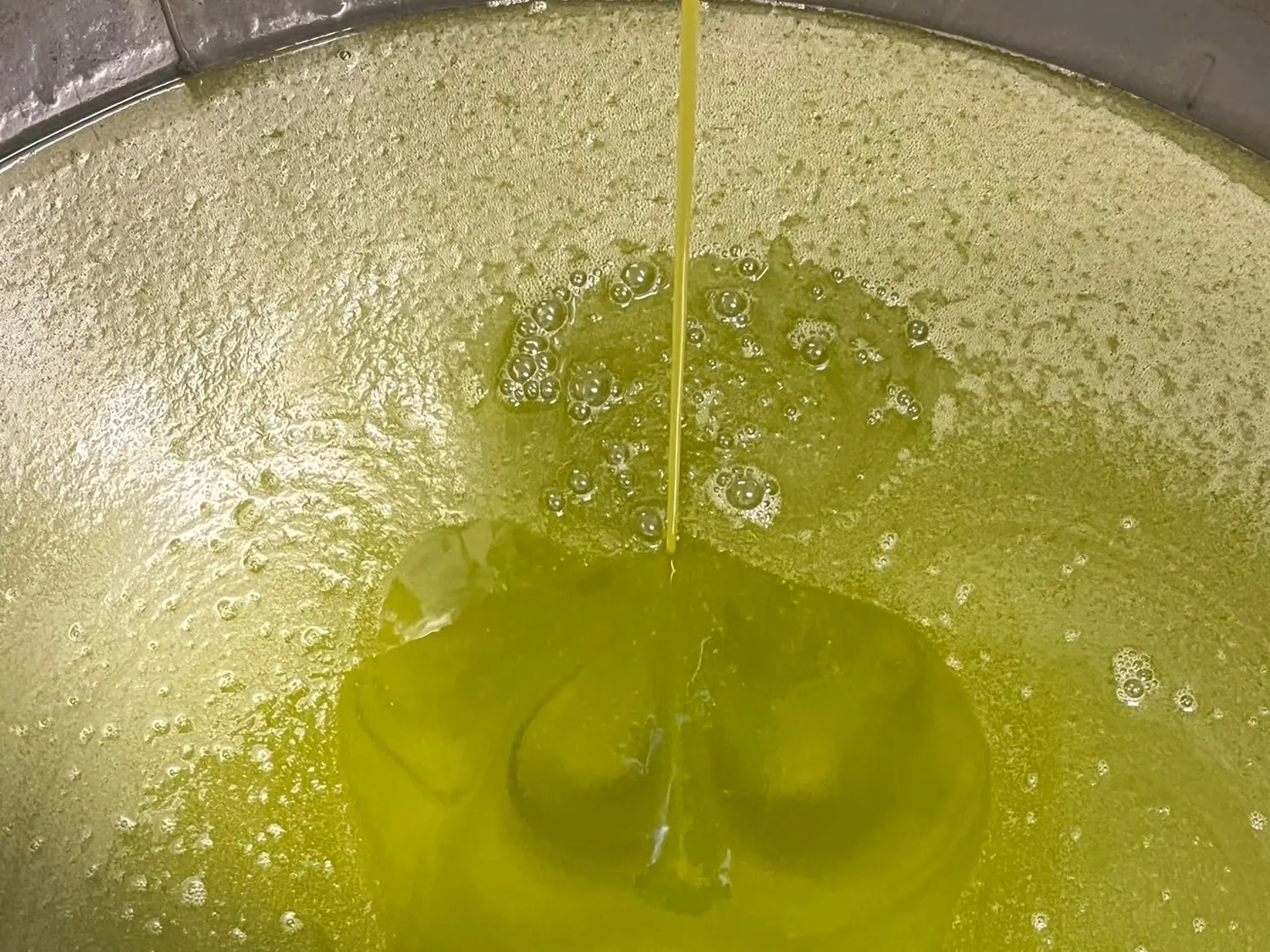 olio extravergine di oliva EVO