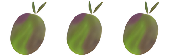 olive olive ortoevo